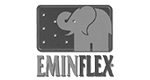 logo eminflex - clienti ad spray